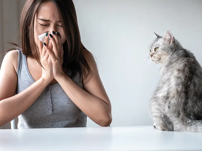 Fool-Proof Guide to Fighting Allergy Symptoms