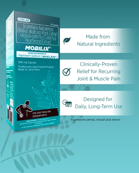 MOBILIX