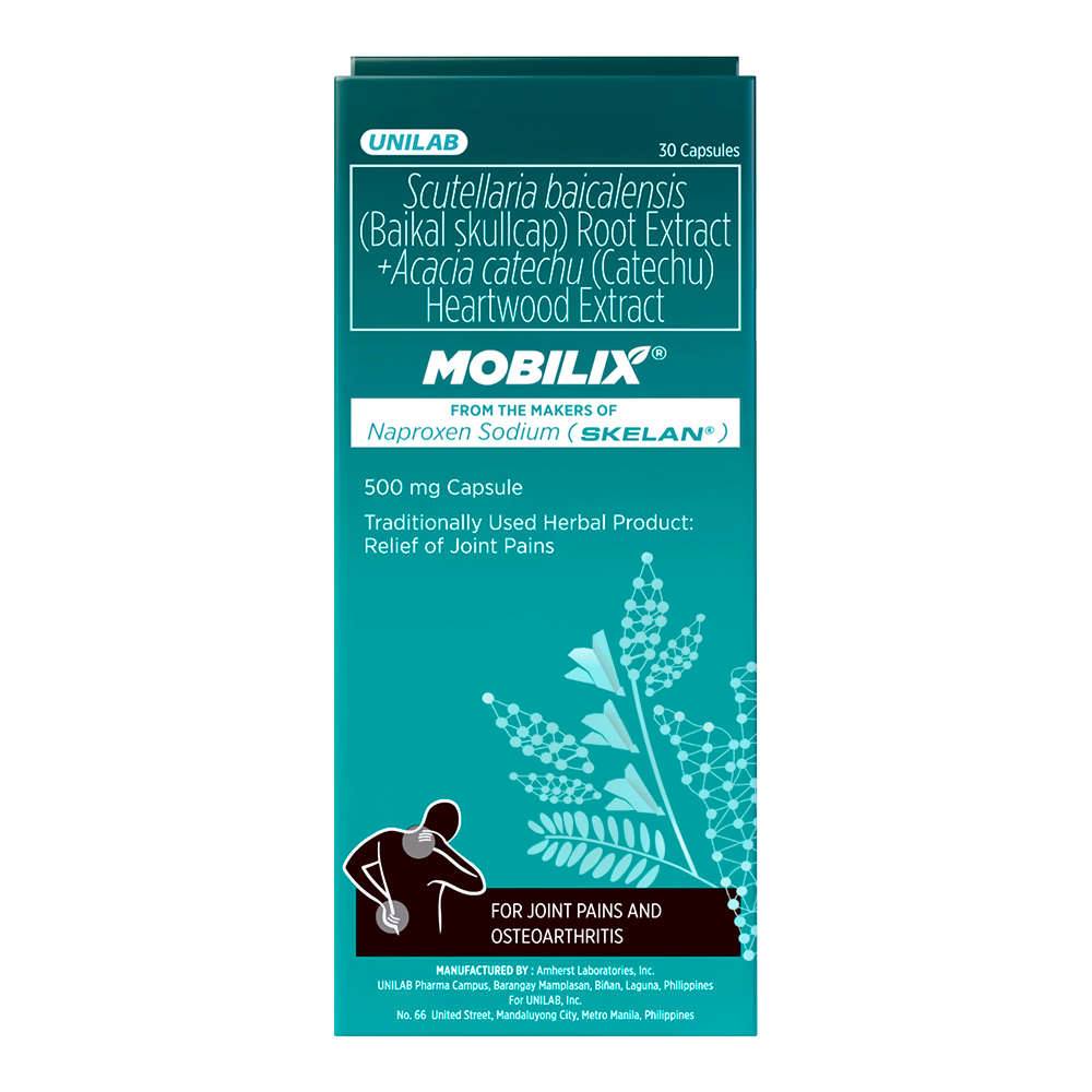 MOBILIX