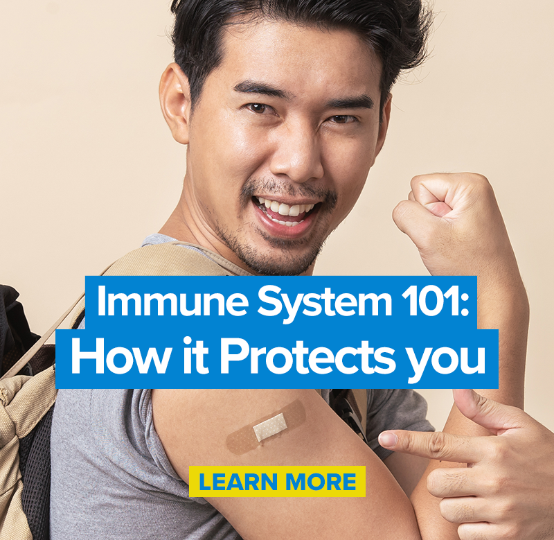 Immune System 101: How it Protects You
