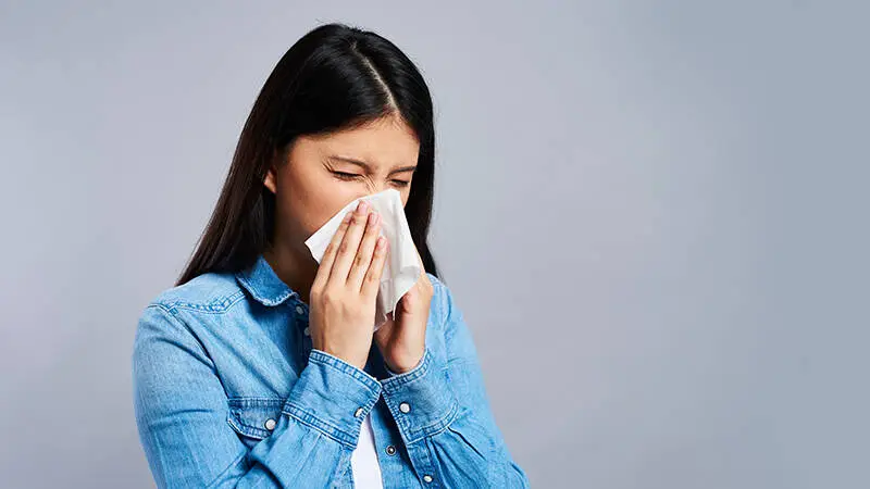 Allergies vs. Common Cold: Which One Do You Have?