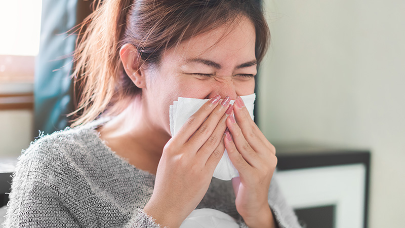 Antihistamines for Common Allergies