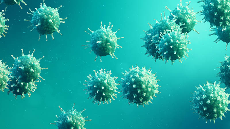 Coronavirus: Overview Symptoms Prevention