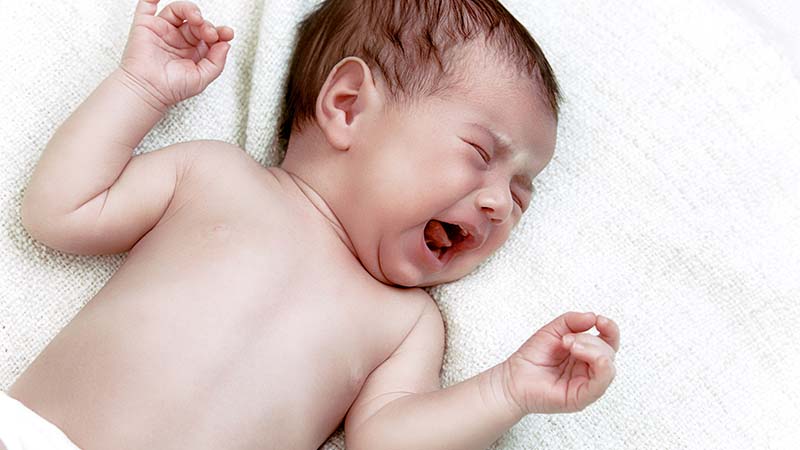 Essential Tips and Treatment for Colic