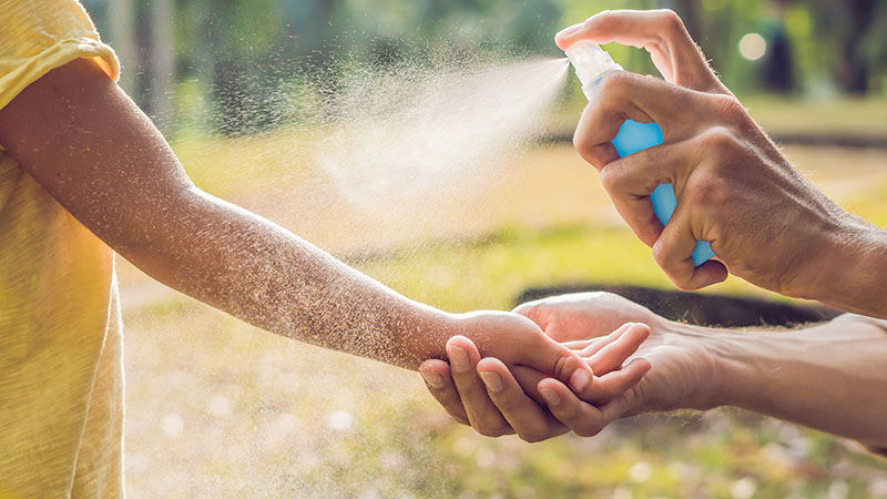 How To Prevent Dengue