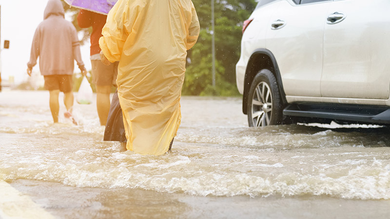 What You Need to Know about Leptospirosis