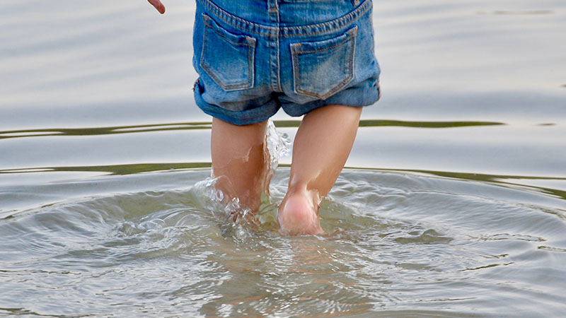 What is Leptospirosis and How Can You Avoid It