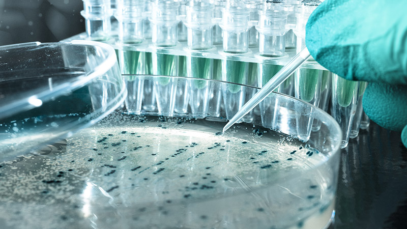 What is Antibiotic Resistance