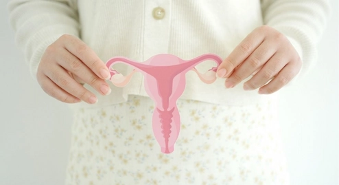 Woman holding image of the female reproductive system