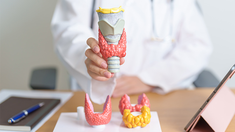 Hypothyroidism vs. Hyperthyroidism: What's the Difference