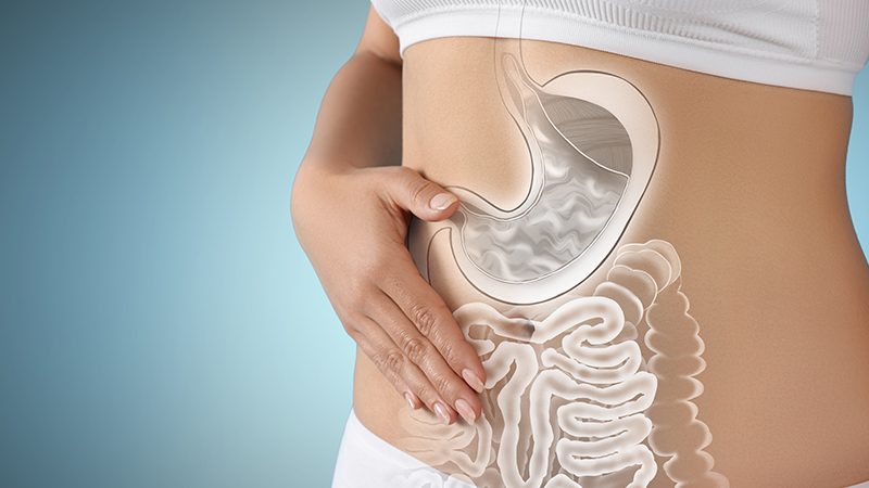 Why Having a Healthy Gut Is Important