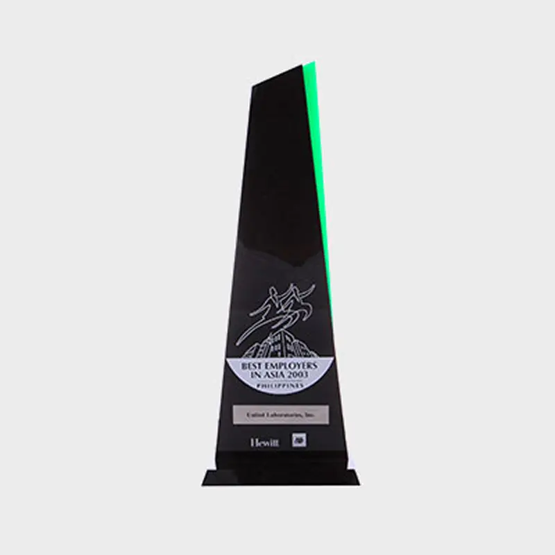 Philippine Best Employer Country Winner