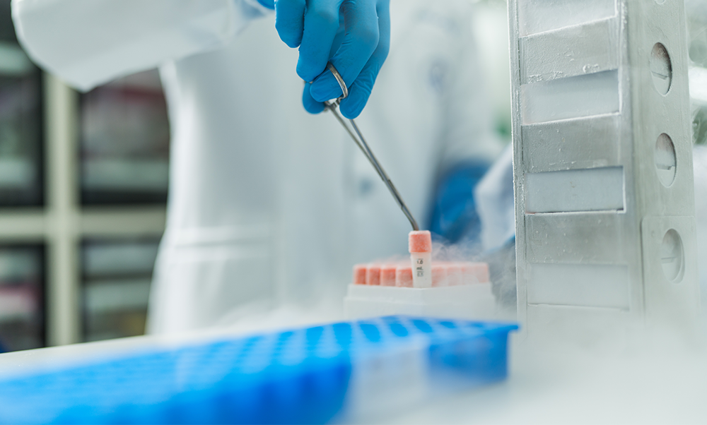 [4] Conducts over 50 tests and verifications for safety and efficacy